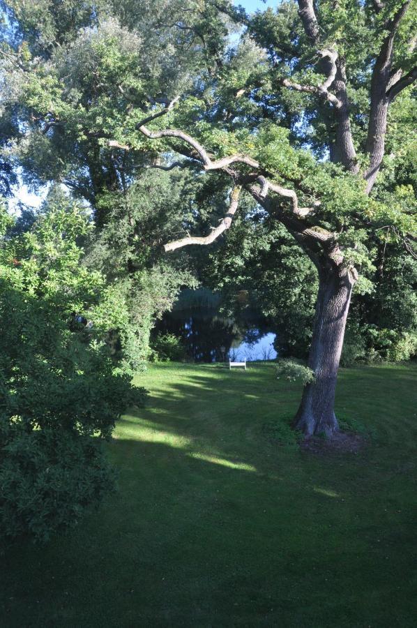 Gartenzimmer Im Schloss Neuhausen Neuhausen  Екстериор снимка