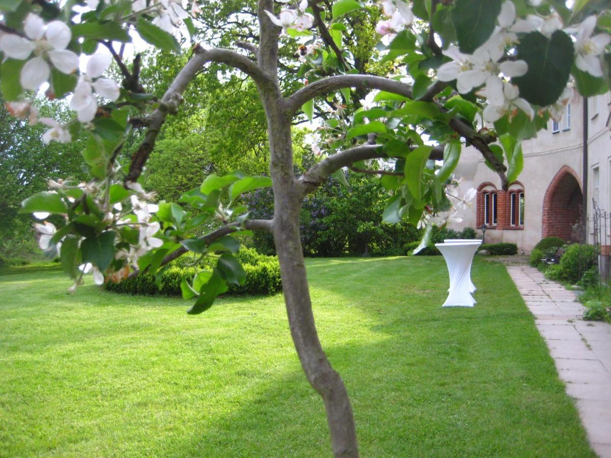 Gartenzimmer Im Schloss Neuhausen Neuhausen  Екстериор снимка