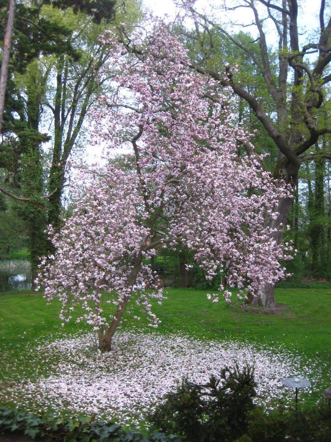 Gartenzimmer Im Schloss Neuhausen Neuhausen  Екстериор снимка
