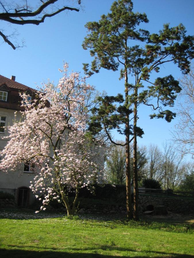 Gartenzimmer Im Schloss Neuhausen Neuhausen  Екстериор снимка